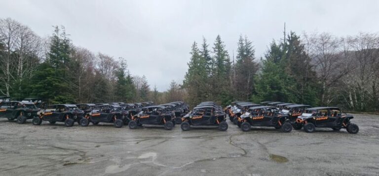 Ketchikan: Adventure Kart Expedition - The Itinerary: A Deep Dive