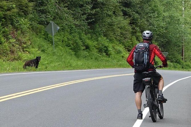Ketchikan Electric Bike and Rain Forest Hike Ecotour - Detailed Breakdown of the Itinerary