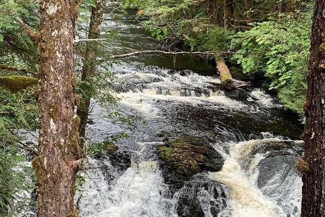 Ketchikan Exclusive Private Group Tour (Price up to 11 Passengers) - Why This Tour Offers Good Value