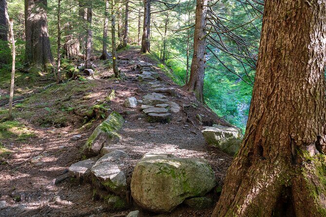 Ketchikan Mountain Lake Trek to Avalanche Chute - Who Will Appreciate This Tour?