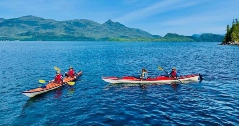 Ketchikan: Orca Cove Fast Boat and Sea Kayak Tour - Why This Tour Might Be Perfect for You