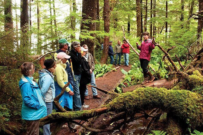 Ketchikan Rainforest Canoe and Nature Walk - Nature Walk in the Rainforest