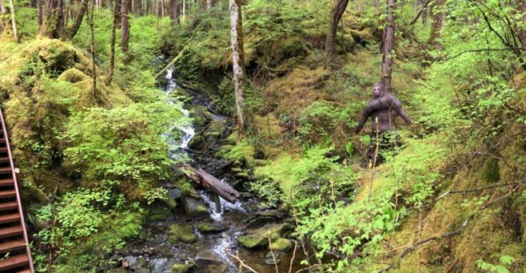 Ketchikan: Tongass Forest Alaska Bigfoot ATV Ride and Hike - The Value of This Tour