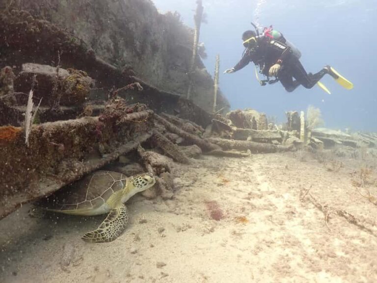 Key Largo: 2-Tank Shallow Reef Dive with Guide & Photos - The Highlights: Marine Life and Photography