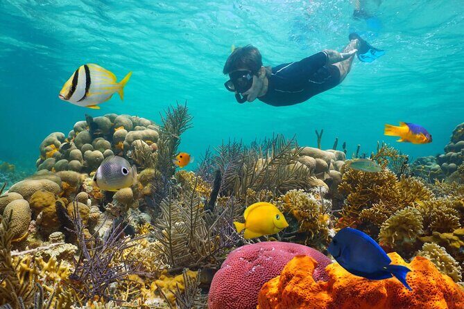 Key West: 3hr Snorkeling Experience with Unlimited Drinks - Analyzing the Value