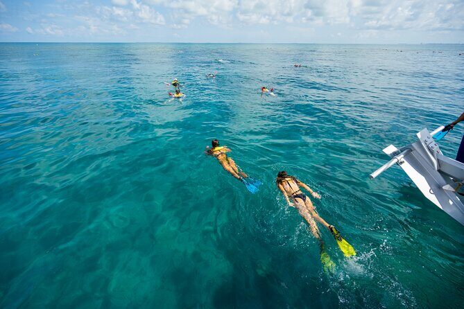 Key West Afternoon Snorkel Sail with Unlimited Cocktails! - Evaluating the Value for Money