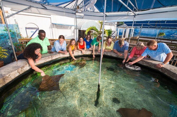Key West Aquarium Admission - Pricing and Value
