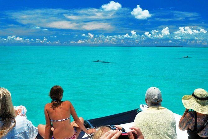 Key West Day Trip from Miami with Activities - Who Will Love This Trip?