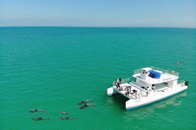 Key West Dolphin and Snorkel Experience - Who Is This Tour Best For?