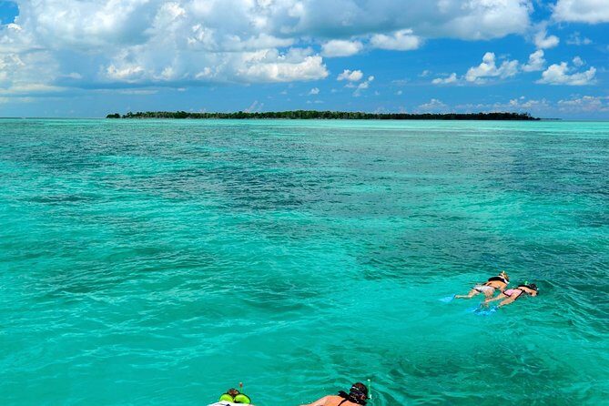 Key West Dolphin Watch and Snorkel Tour - Eco Adventure - What Sets This Tour Apart?