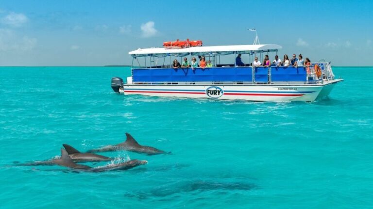 Key West: Dolphin Watching and Snorkeling Eco Cruise Tour - A Detailed Look at the Experience