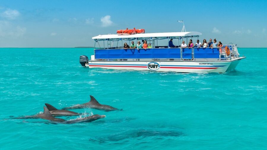 Key West: Dolphin Watching and Snorkeling Eco Cruise Tour - A Detailed Look at the Experience