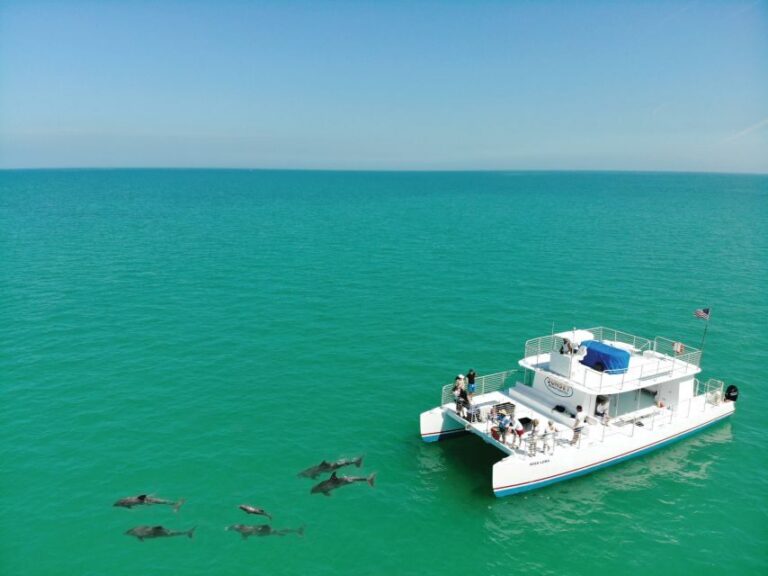 Key West: Dolphin Watching and Snorkeling Sunset Cruise - The Overall Experience: Who Will Love It?