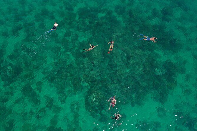 Key West Full-Day Ocean Adventure: Kayak, Snorkel, Sail - Who Will Love This Tour?