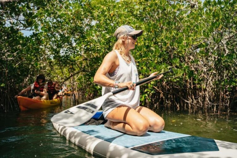 Key West: Hidden Sanctuary Kayak Tour with Sandbar Safari - Why This Tour Offers Great Value