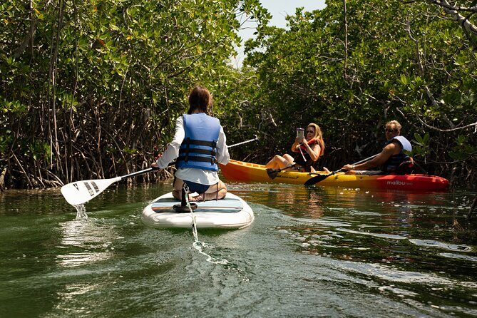 Key West Hidden Sanctuary Mangrove Kayak Tour With Drinks - Practical Details and Tips