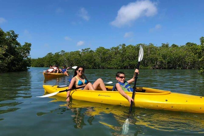 Key West Mangrove Kayak Eco Tour - The Detailed Itinerary
