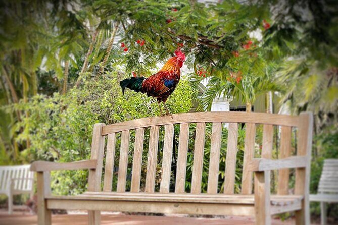 Key West Odyssey: Uncover Island Secrets, Walk by Locals - What Travelers Say