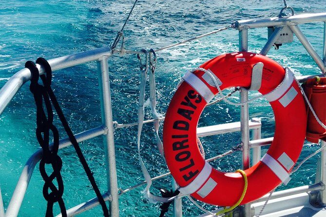Key West Reef Snorkel & Sail Adventure - The Review Highlights: What Travelers Say