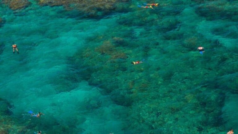 Key West: Reef Snorkeling with Drinks and Sunset Option - The Itinerary and What You’ll Experience