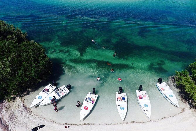 Key West Safari Eco Sandbar Tour Adventure with Snorkeling - Who Would Love This Tour?