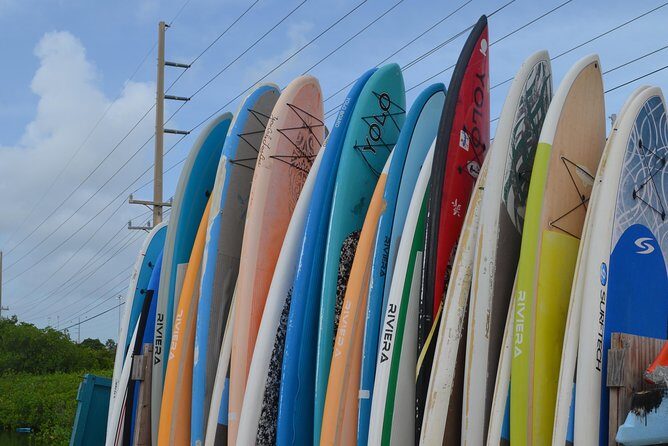 Key West Stand Up Paddleboard Rental - Is it Good Value?