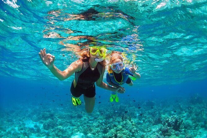 Key West Sunset Snorkel with Unlimited Draft Beer & Wine - Who Should Consider This Tour?