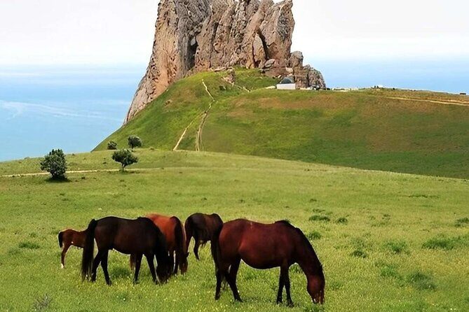 Khizi Candy Mountains, Shahdagh Full Day Guided Tour - What Travelers Say