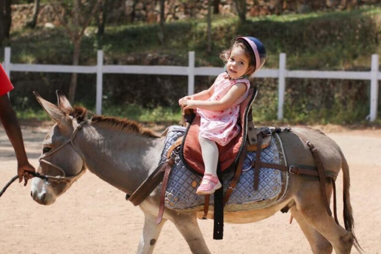 Kigali: Donkey Rides for Kids Experience - Why the Indoor Setting Matters