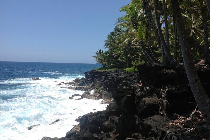 Kilauea Summit to Shore from Kona: Small Group - What Travelers Say