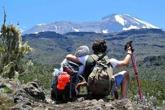 Kilimanjaro day trip starting from Arusha - The Mandara Hut and Crater Views