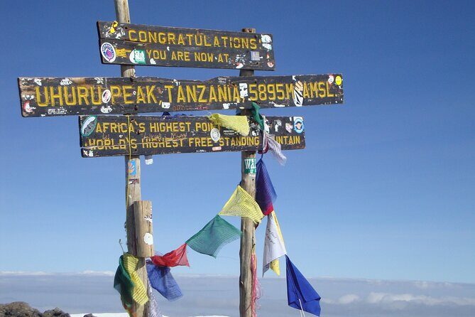 Kilimanjaro Marangu Route 6 Days. (Oldest, easiest & well established) - What Travelers Say