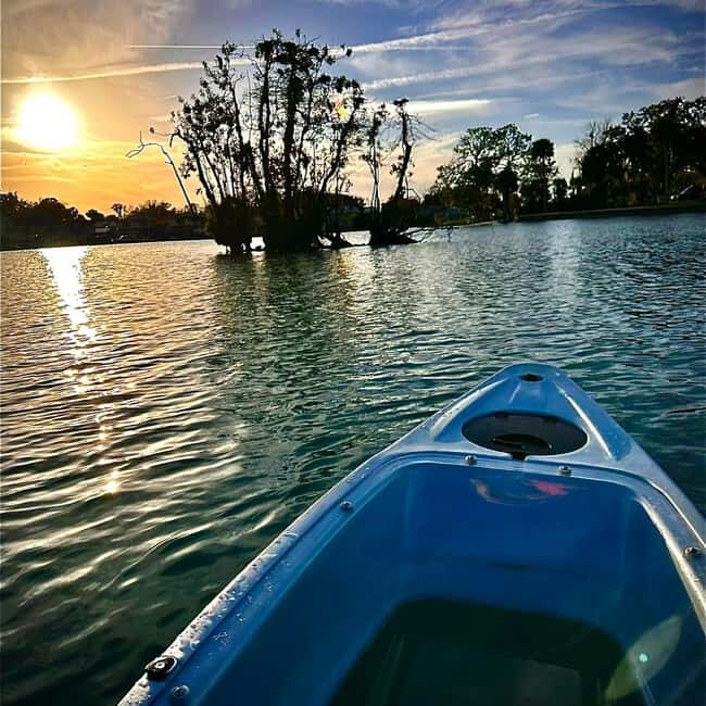 Kings Bay, Crystal River: Gentle Sunrise Manatee Kayak Tour - Practical Details