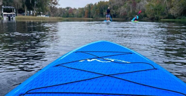 Kings Bay/Three Sisters: Self Guided Tour- ClearBottom Kayak - The Experience: What You Can Expect