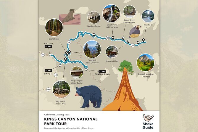 Kings Canyon National Park Self-Guided Audio Tour - What the Tour Gets Right