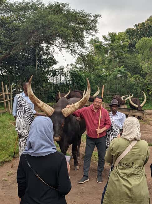King's Palace and Ethnographic Museum Day Tour - Who It’s Best For