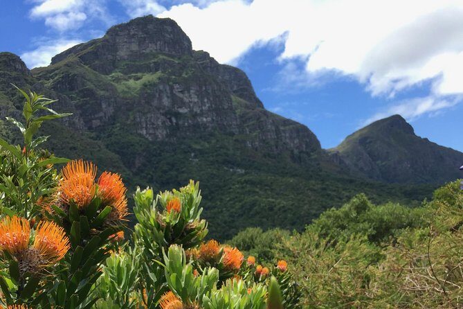 Kirstenbosch National Botanical Gardens: A Self-guided Audio Tour - A detailed look at the Kirstenbosch self-guided audio tour