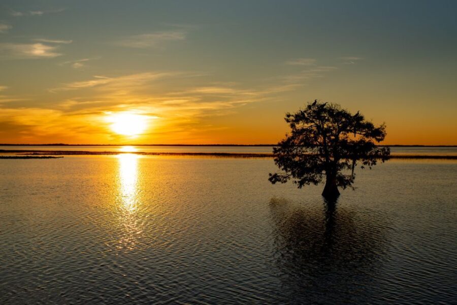 Kissimmee: Boggy Creek Sunset Airboat Tour