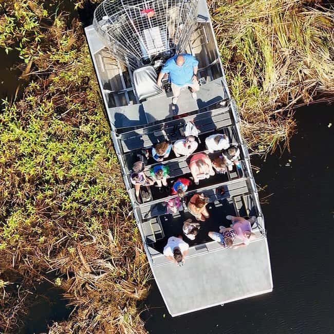 Kissimmee: Everglades Alligator and Wildlife Airboat Tour
