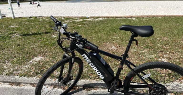 Kissimmee: Self-Guided Lakefront Tour on All Electric Bike - What to Expect on the Tour