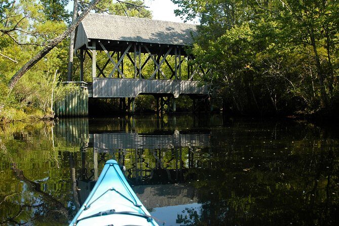 Kitty Hawk Maritime Forest Kayak Tour - The Sum Up