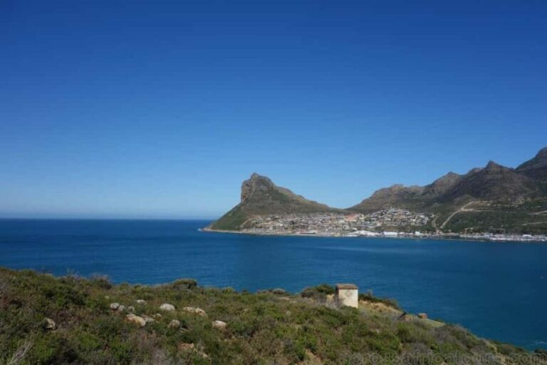 Klein Karoo, Garden Route and Addo Shore 3-Day Excursion - Who Will Love This Tour?