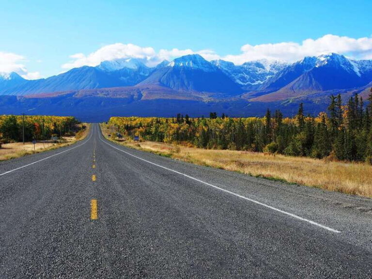 Kluane National Park: Full Day Tour - Why Choose This Tour?