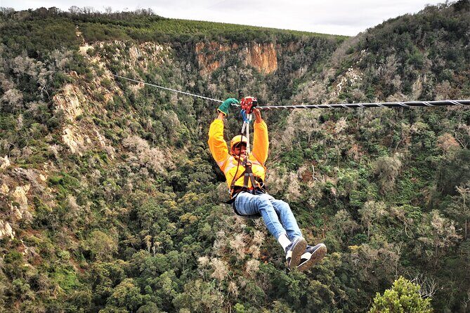 Knysna Ziplines Tour - The Highlights: Why This Tour Shines