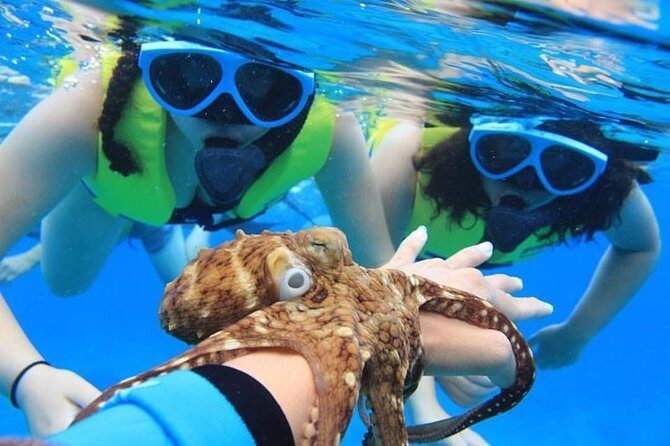 Ko Olina Catamaran Sail and Snorkel - Who Will Love This Tour?