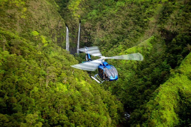 Kohala Waterfalls with Exclusive Landing Helicopter Tour - The Experience: What Travelers Say
