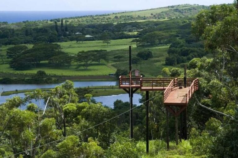Koloa: Kauais Longest 8-Line Zipline Tour - Who Should Consider This Experience?