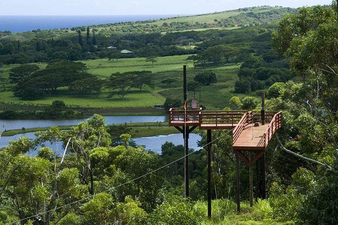 Koloa Zipline in Kauai - Analyzing the Value