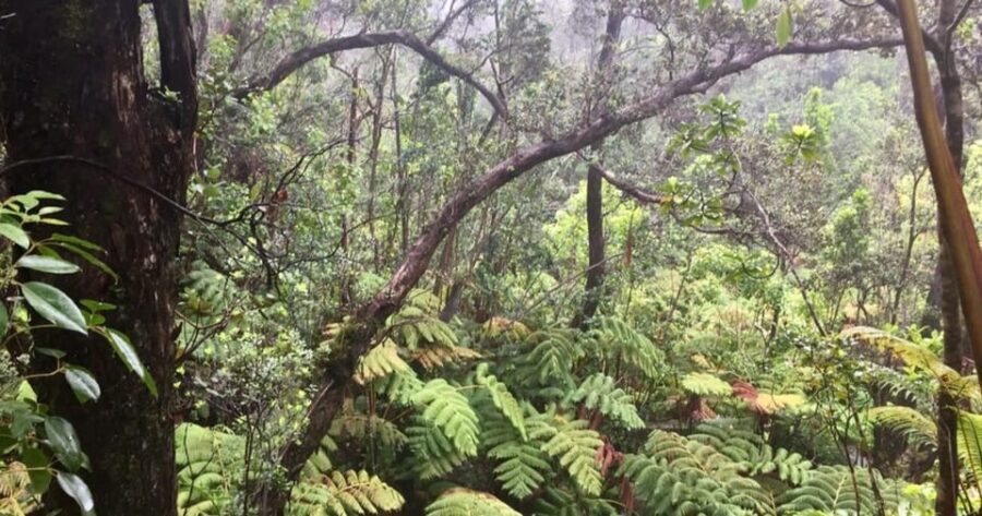 Kona: Big Island Big Volcano Adventure - What to Expect: A Breakdown of the Day