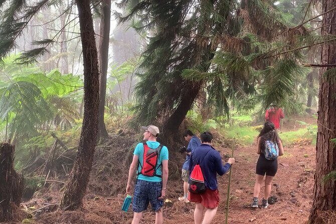 Kona Cloud Forest and Coffee Tour with Sea Turtle Beach Visit - What’s Included and What’s Not